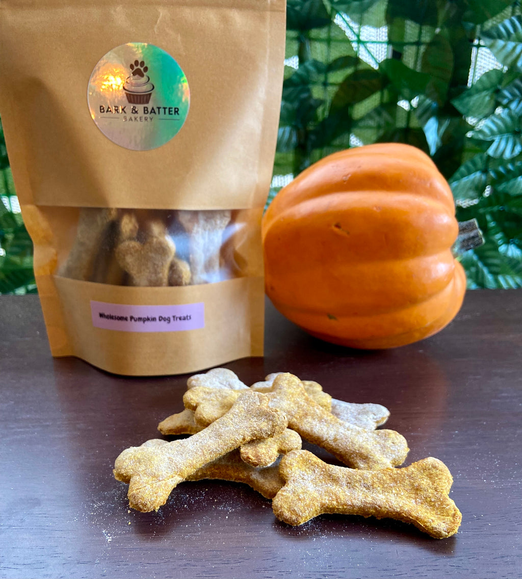 Homemade Premium Wholesome Pumpkin Dog Treats
